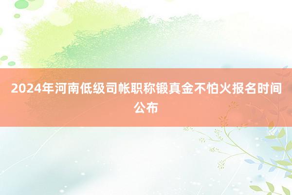 2024年河南低级司帐职称锻真金不怕火报名时间公布